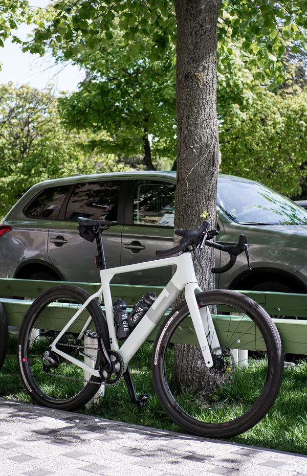 A white carbon bike leaning on a tree trunk next to a park.